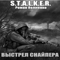 аудиокнига S.T.A.L.K.E.R. Выстрел снайпера Полиенко Роман