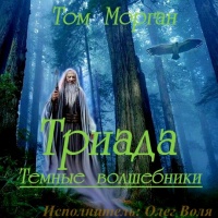 Аудиокнига Темные Волшебники Книга 1 Триада Том Морган